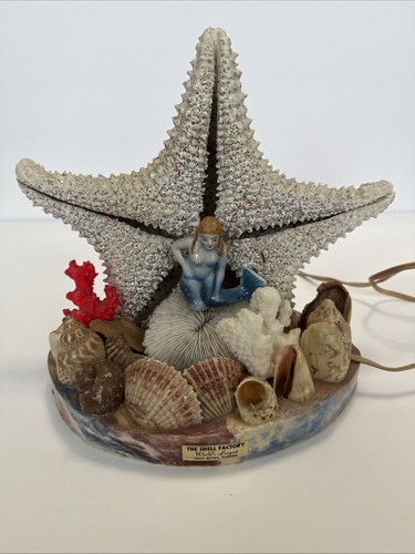 Vintage star fish diarama - diarama, tv